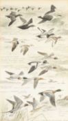 ‡ PHILIP SNOW (British, born 1947) watercolour - Ducks in Flight, featuring common scoter, eider,
