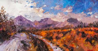 ‡ DAVID GROSVENOR (b.1956) oil on canvas - entitled verso, 'Moel Hebog, Moel yr Ogof and Moel