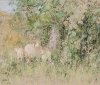 ‡ DIANA ARMFIELD (b.1920) pastel on paper - entitled verso, 'Twin Lambs, Llanfachreth' on Albany