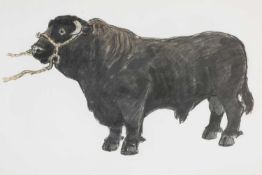 ‡ SIR KYFFIN WILLIAMS RA (Welsh 1918-2006) lithograph - Welsh Black Bull, 40 x 60cms Provenance:
