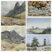 FREDERICK CLIVE NEWCOME (1847-1894) watercolour - Cumberland landscape, signed, 42 x 72cms; ROBERT