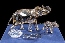SWAROVSKI CRYSTAL SOCIETY CINTA ELEPHANT, with nameplate and certificate of authenticity, and baby