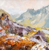 ‡ DAVID GROSVENOR (b.1956) oil on canvas - entitled verso, 'Crib Goch from Dinorwig', signed, 19 x