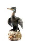 ‡ NEIL DALRYMPLE (Welsh b.1949) freestanding stoneware ceramic - anatomical study of a cormorant