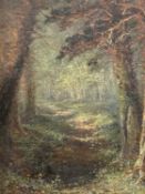 C.E. WRIGHT (late 19th century) oil on canvas - entitled verso 'Bluebell Wood', 31 x 21.5cms