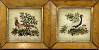 TWO VICTORIAN WOOLWORK PICTURES depicting pheasants, 29.5cms², in period maple frames Provenance: