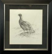 ‡ GARETH PARRY (b. 1951) pencil - male red grouse, signed and dated '86 lower right, 32 x 30cms