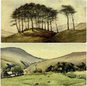 JOHN NICHOLSON watercolour - mountainous view with sheep, signed and dated 1946 lower right, 27 x