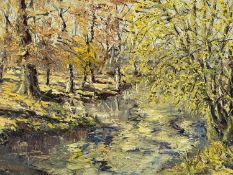 ‡ CHARLES WYATT WARREN (Welsh 1908-1993) oil on board - entitled verso 'Trees in Autumn', signed