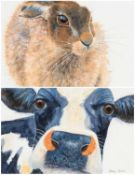CLARE CRUSH (contemporary) watercolour - brown hare, 25.5 x 20cms, and cow face, 12.5 x 18cms,
