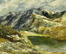 EIRLYS HUGHES oil on board - Eryri lake in winter, signed lower left, signed lower left, 24 x