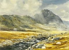 EIRLYS HUGHES oil on board - Tryfan, signed lower right, 43 x 59cms Provenance: deceased estate