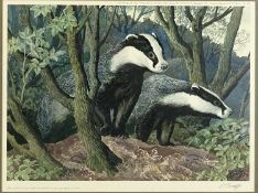 ‡ CHARLES FREDERICK TUNNICLIFFE OBE RA (1901-1979) limited edition (336/500) colour print - Badgers,
