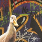 ‡ PAUL JAMES (Contemporary) limited edition (95/125) giclée print on canvas - 'No Name', signed