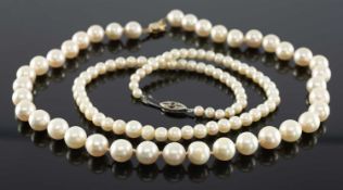 BAROQUE FRESHWATER PEARL CHOKER NECKLACE with 18ct gold lobster claw clasp inset with two tiny