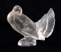 SABINO FROSTED GLASS FIGURE OF A FANTAIL DOVE, signed on base, 13cms (h) Provenance: private