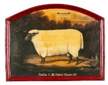 PAIR OF REPRODUCTION PRINTS ON BOARDS: 'Sir William Aball, Property of Sir Thomas Killick Farmer',