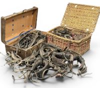 COLLECTION OF EQUESTRIAN, PRINCIPALLY PONY, ACCESSORIES, including hames, martingales, leathers,