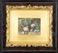 GEORGE F. BUCHANAN (act. c. 1848-1864) watercolour and body colour - still life, briar rose and ivy,