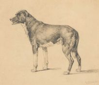 ‡ EDWARD DUNCAN RWS (British, 1802-1882) pencil - drawing of a standing hound, signed, 20 x 23cms
