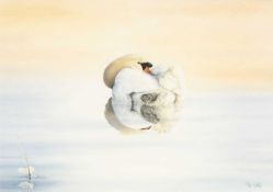 ‡ COLIN WOOLF (British, b.1956) watercolour - reflection of a swan, signed and dated 2006, 35 x