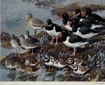 ‡ CHARLES FREDERICK TUNNICLIFFE OBE RA (1901-1979) limited edition (248/500) colour print -