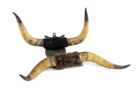 TWO PAIRS OF VINTAGE CATTLE HORNS, 75cms span (the larger) Provenance: private collection Gwynedd