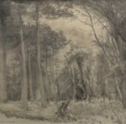‡ DAVID WOODFORD (British, b. 1938) pencil and monochrome wash - woodland, signed lower left, 32cms²