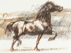 ‡ ANEURIN JONES (Welsh 1930-2017) ink on paper - prancing cob stallion, signed, 29.5 x 39cms