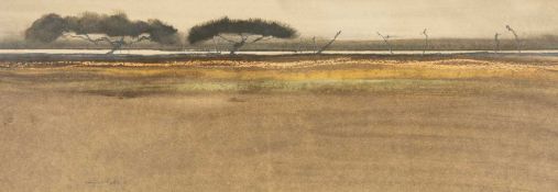 ‡ ROGER CECIL (Welsh 1942-2015) early watercolour - landscape with trees and telegraph poles, signed