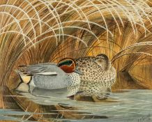 ‡ CHARLES FREDERICK TUNNICLIFFE OBE RA (English, lived / worked Wales 1901-1979) watercolour -