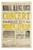 NATIONAL EISTEDDFOD 1925 CONCERT POSTER, 75 x 51cms Auctioneer's Note: fundraising concert at