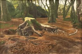 ‡ GERALD DEWSBURY (British, works Wales, b. 1957) oil on canvas - autumnal woodland scene with