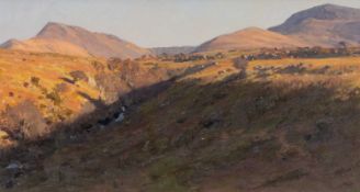 ‡ DAVID WOODFORD (British, lives, works Wales b. 1938) oil on board - Eryri with stream and