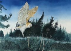 ‡ GERALD DEWSBURY (British, works Wales, b. 1957) watercolour - barn owl in flight, monogrammed
