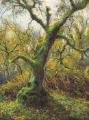 ‡ GERALD DEWSBURY (British b. 1957) oil on canvas board - entitled verso 'Birch, Coed Boch y