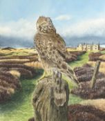 ‡ GERALD DEWSBURY (British, works in Wales, b. 1957) watercolour - buzzard perched on tree stump