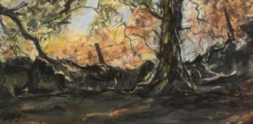 ‡ ALED PRICHARD-JONES (Welsh 1945-2025) pastel - wooded landscape, signed with initials, 22 x