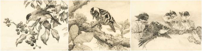 ‡ WINIFRED MARIA LOUISE AUSTEN (British 1876-1964) three etchings - entitled 'Lesser Spotted