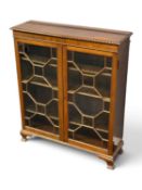 MAHOGANY GLAZED BOOKCASE, circa 1900, having two astragal glazed doors, adjustable shelves, raised