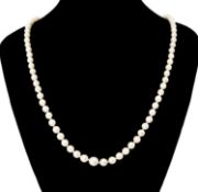 CULTURED PEARL SINGLE-ROW NECKLACE, 18ct white gold clasp set with a central pearl surrounded by