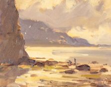 ‡ DAVID PILGRIM (English, b. 1975) oil on board - North Yorkshire coastline, entitled verso '