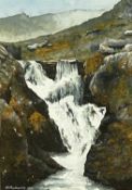 G. ROBERTS watercolour - waterfall, signed and dated '00 lower left, 25 x 17.5cms Provenance: