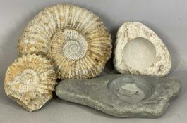 FURNISHING FOURSOME OF NATURAL MINERALS comprising two ammonites, the larger 28 (h) x 23 (w) x 12cms