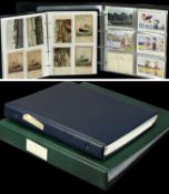 VINTAGE POSTCARDS in two albums, containing saucy seaside, maritime and other themes, approx. 230