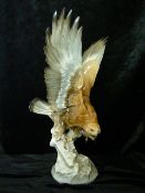 Hutschenreuther. Großer Greifvogel mit gespreitzten Flügeln. H. ca 40cm.