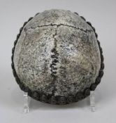 Rituelle Schädelschale (Kapala), Tibet 20. Jh., menschliche Schädeldecke (Nachbildung, kein Knochen)