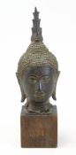 Buddha - Kopf, Thailand, Sukhothai 16 - 18 Jh.,  ovale Form mit langen Ohren, mit Buckellocken,