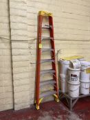 WERNER 12' FIBERGLASS LADDER