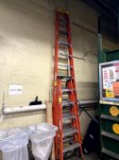WERNER 12FT LADDER
